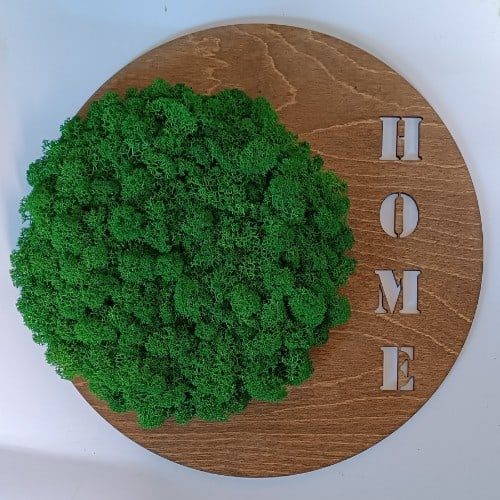 home6